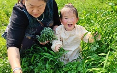 韩国三级巜双乳紧扣的肉体市场